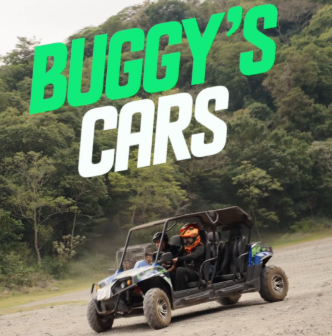 Buggy Cars
